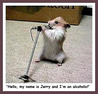 Funny11 www.imgworld.mobie.in